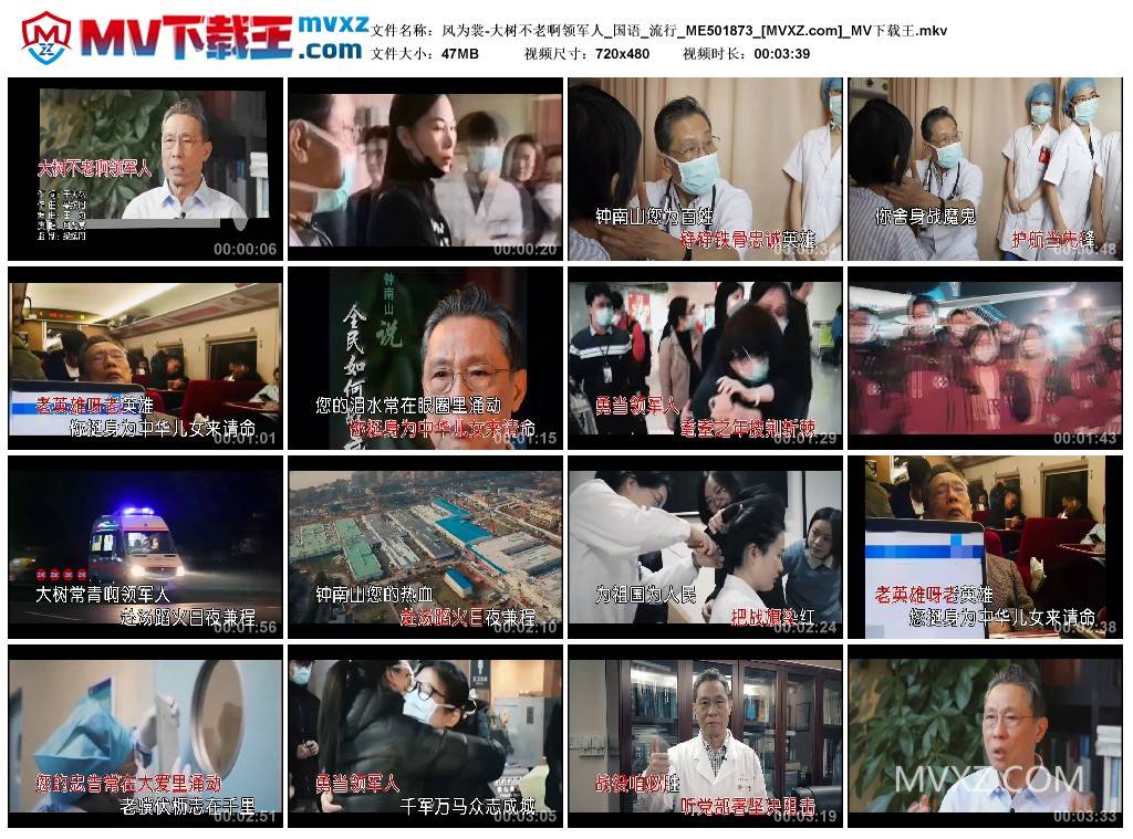 风为裳-大树不老啊领军人_国语_流行_ME501873